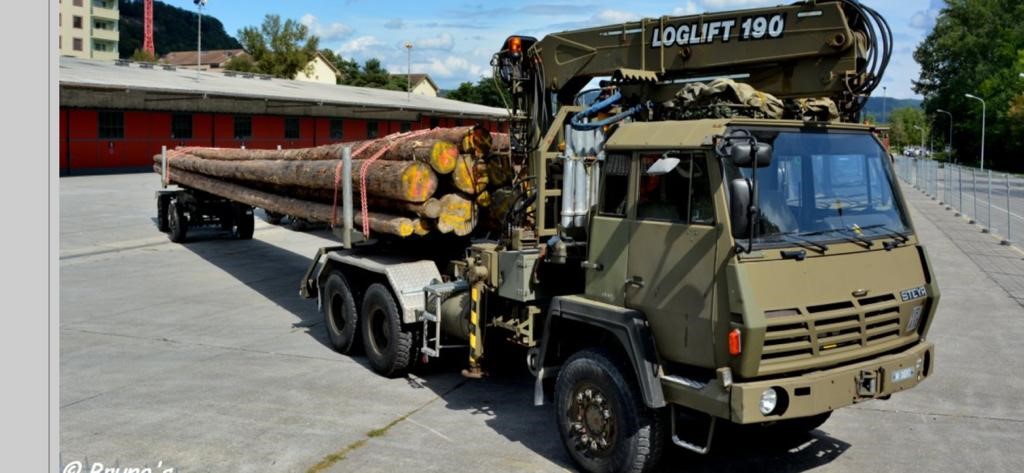 Steyr 1491.310 6×6 Timber Loglift Truck